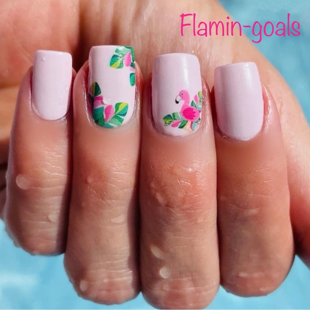 Retired Color Street Nail Strips - Flamingoals
